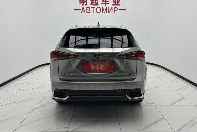 Lexus NX200