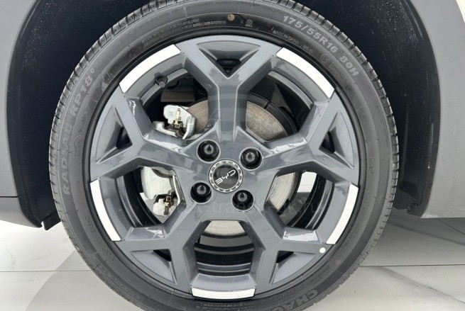 BYD Seagull