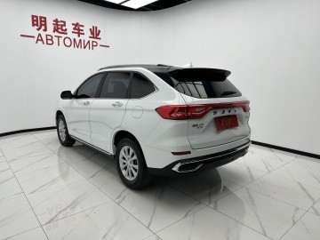 Haval M6 PRO