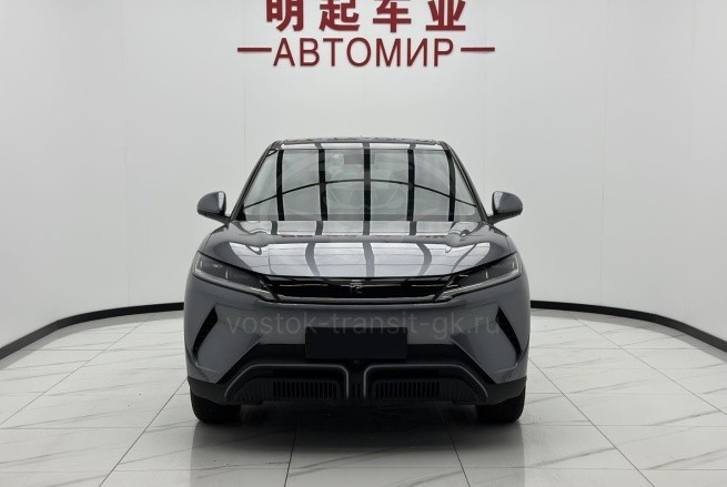 BYD Yuan Up