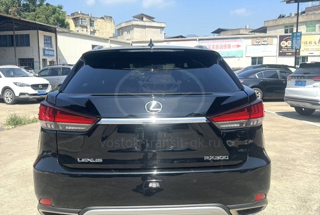 LEXUS RX 300