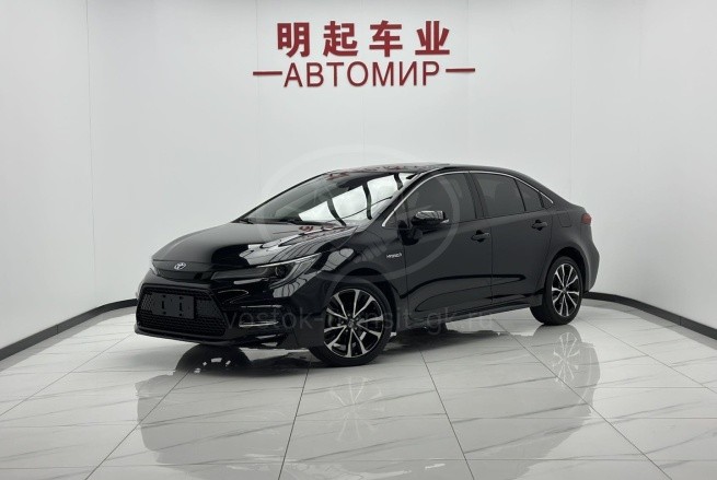 Toyota Levin