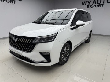 Wuling Jiachen