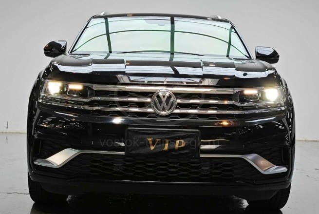 VOLKSWAGEN TERAMONT X