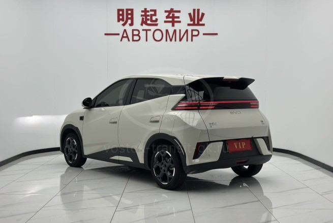 BYD Seagull
