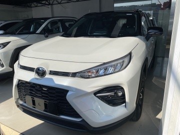 TOYOTA WILDLANDER