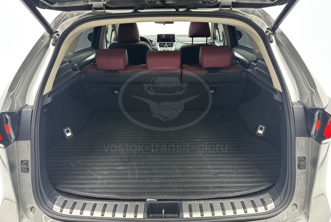 Lexus NX200