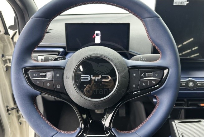 BYD Seagull