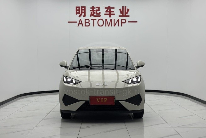 BYD Seagull