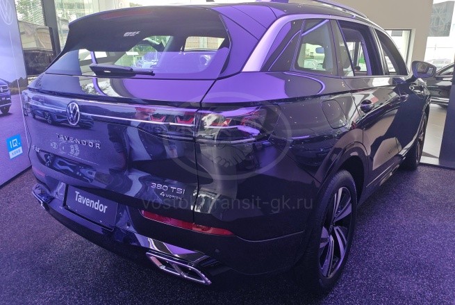 VOLKSWAGEN TAVENDOR 